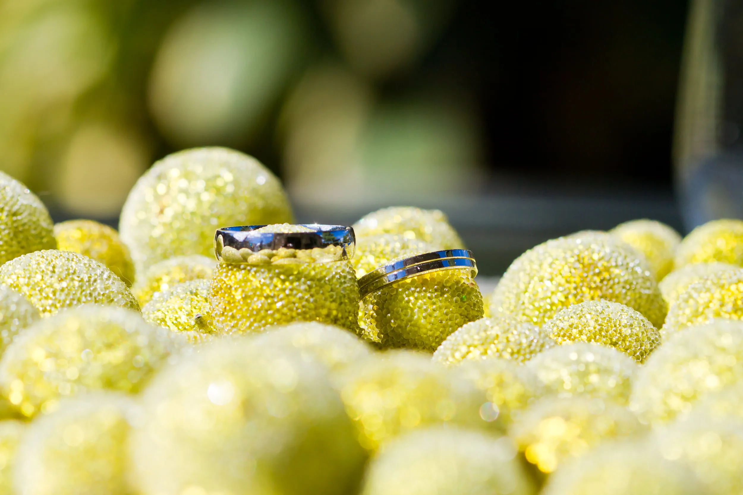 Egle_Deividas_Vestuves-21